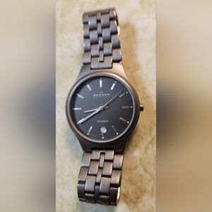 Skagen Titanium Gray Watch